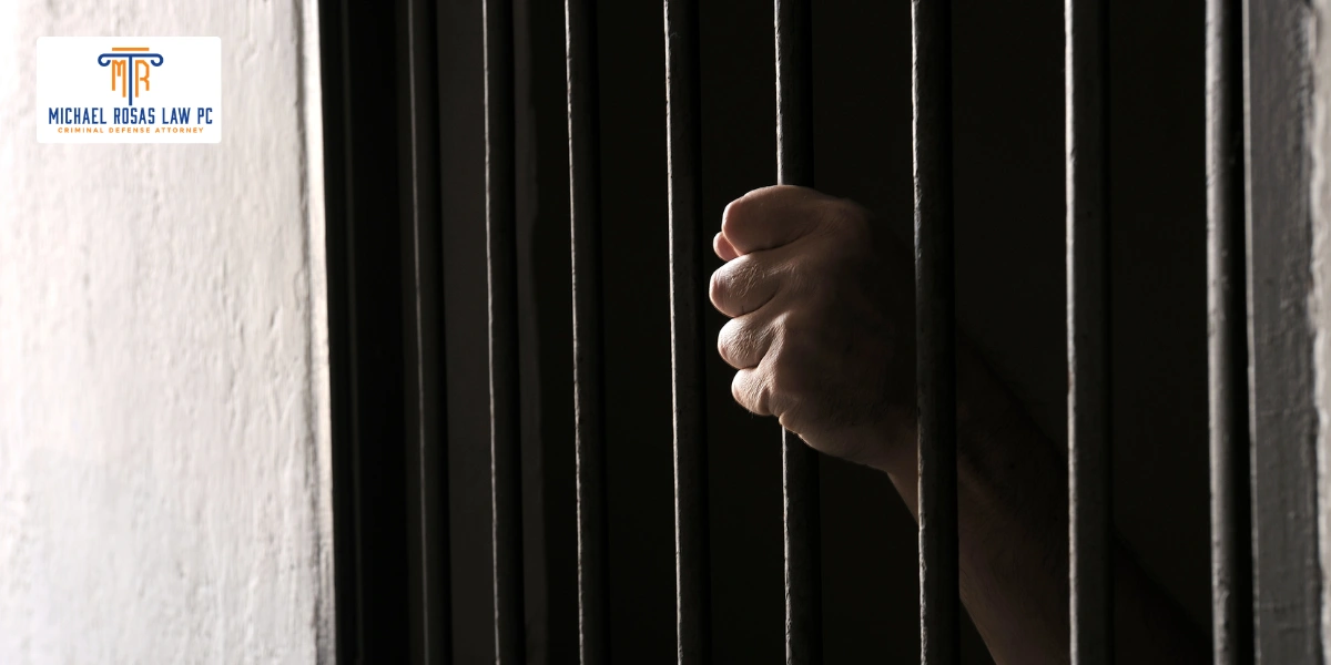 New Brunswick Domestic Violence Lawyer